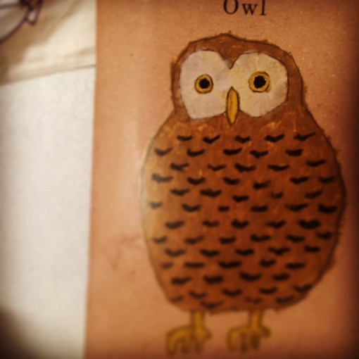 owl