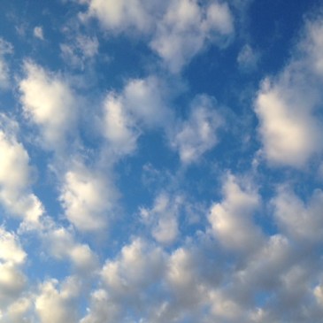 青空禅フォーラム