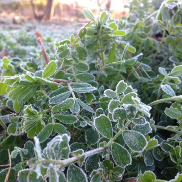 絵画鑑賞入門講座