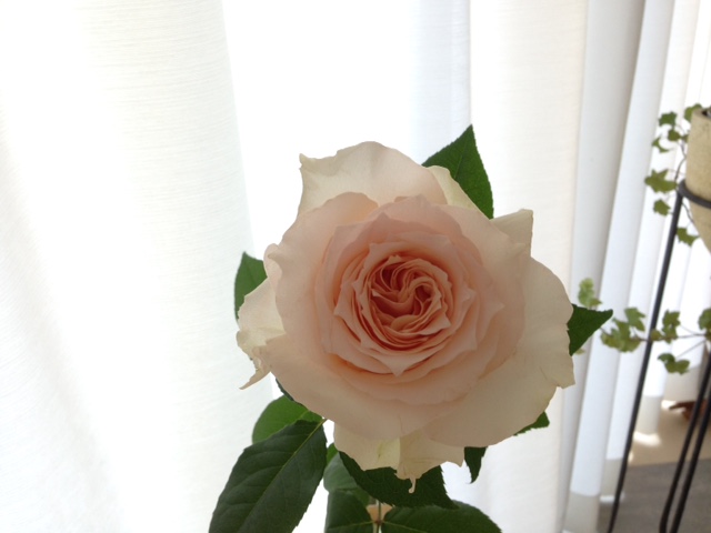 伊東充隆 青空禅