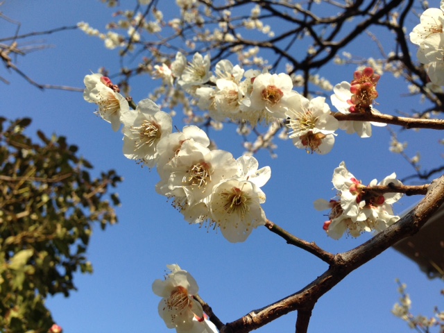 絵画鑑賞　中尾陽一