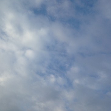 和サンガ伊東充隆マハラジ