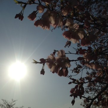 非二元伊東充隆青空禅マハラジ