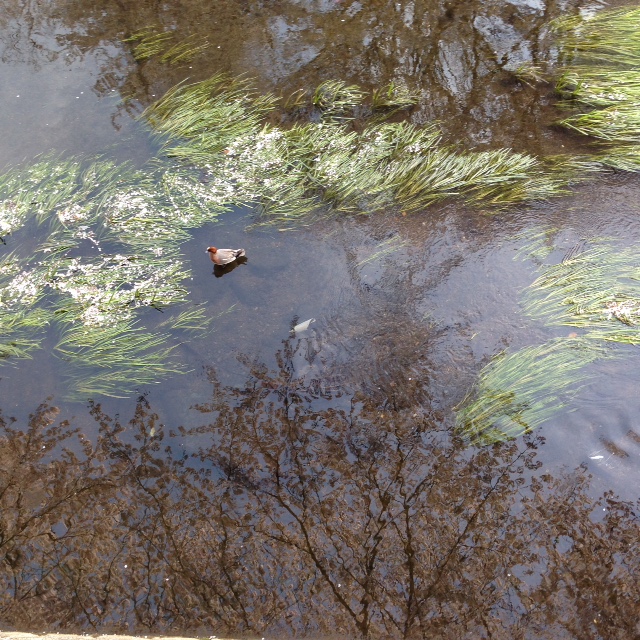 青空禅フォーラム伊東充隆