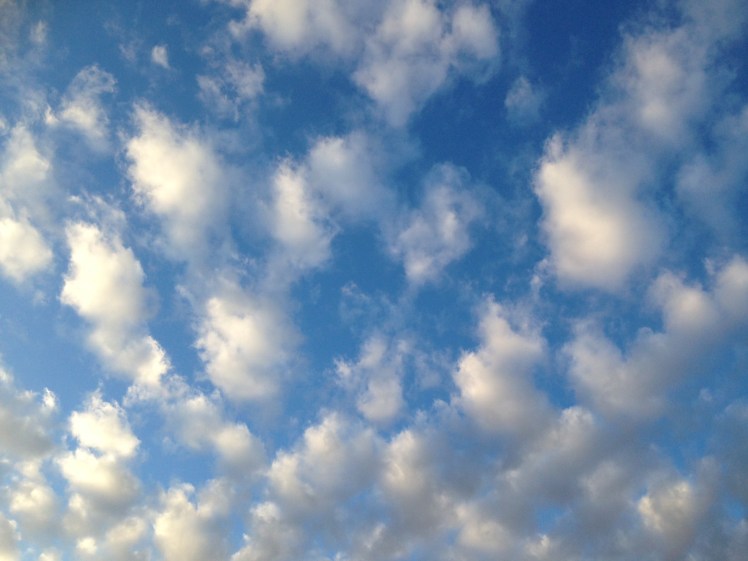 青空禅フォーラム伊東充隆