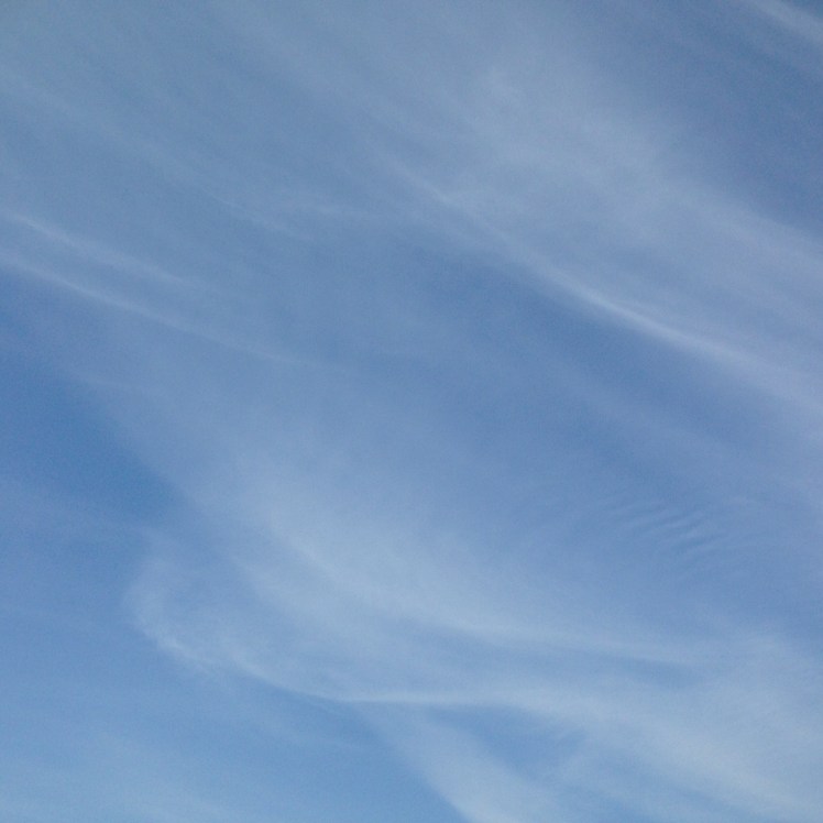 青空禅フォーラム