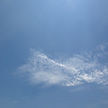 伊東充隆　青空禅