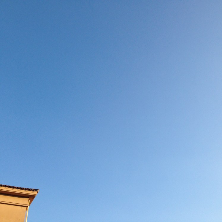 青空禅フォーラム