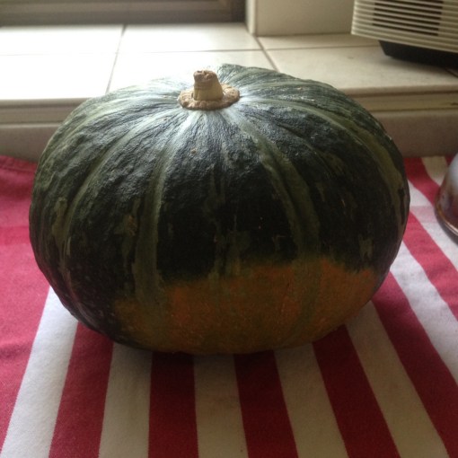 protomania september