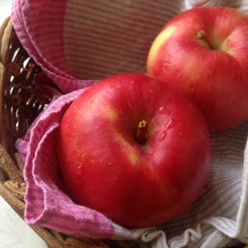 伊東充隆　青空禅フォーラム　和サンガ