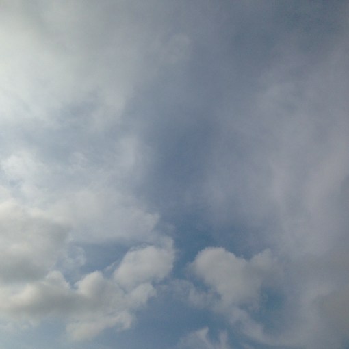 伊東充隆　青空禅フォーラム　和サンガ