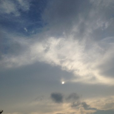 伊東充隆　青空禅フォーラム　和サンガ