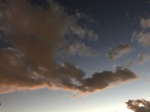 和サンガ東京 伊東充隆主宰