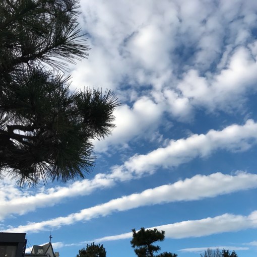 ラマナマハルシのことば