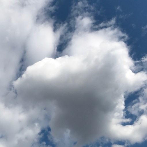 バーソロミュー　愛と叡智