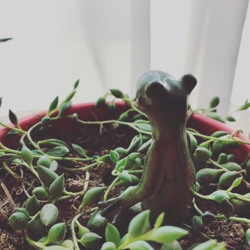 青空禅フォーラム