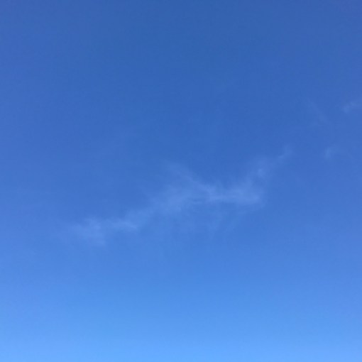 伊東充隆　青空禅