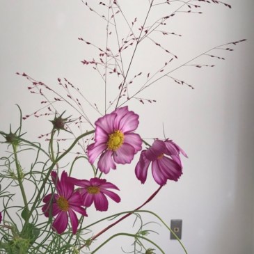 伊東充隆i Medic & Art@プロトマニア