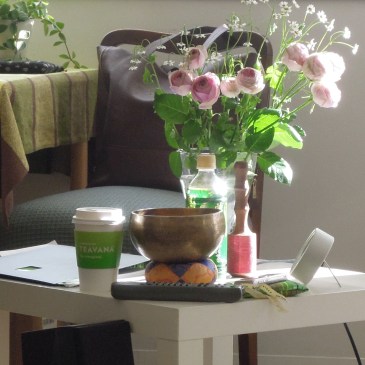 青空禅　プロトマニア