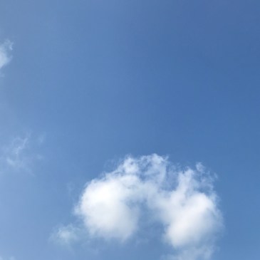 伊東充隆　青空禅塾