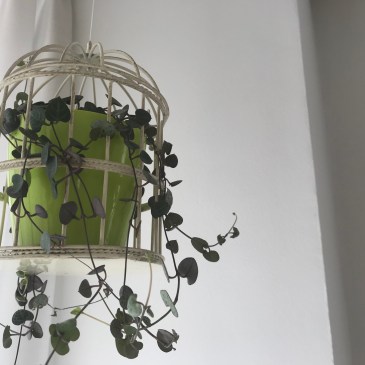 i Medic & Art 伊東充隆