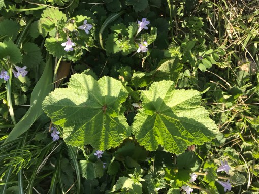 伊東充隆ワークショップ