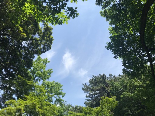 伊東充隆　医師　青空禅塾＠プロトマニア