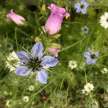 瞑想、静寂、マインドフルネスハック