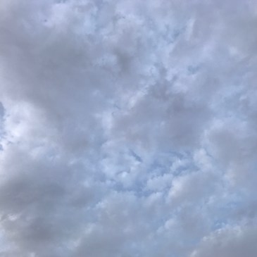 伊東充隆医師主催　マインドフルネスハック