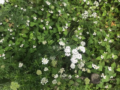 瞑想、静寂、マインドフルネスハック