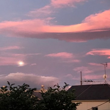 伊東先生と12回　青空禅塾