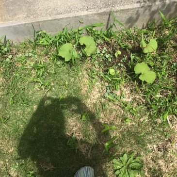 共に在ること。