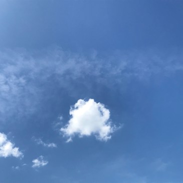 普通であるとはシンプル〜バーソロミュー