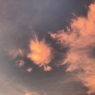 想像力という余白。