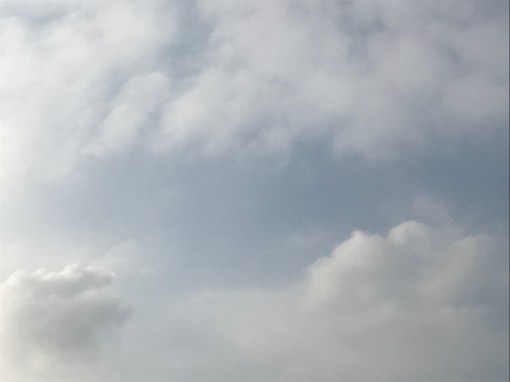 何もしないをやったかな？