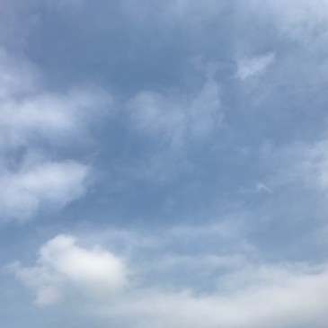 何もしないをやったかな？