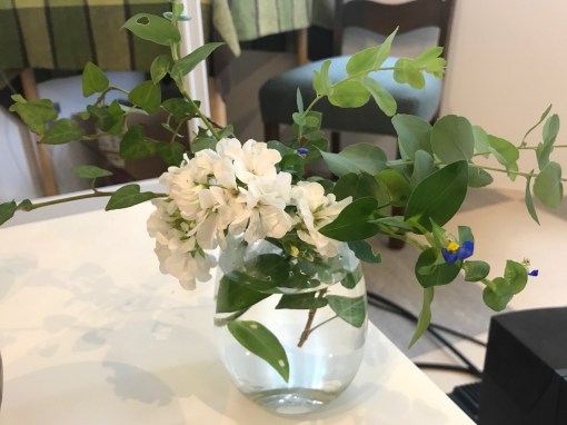 ９月青空禅塾2018伊東充隆プロトマニア