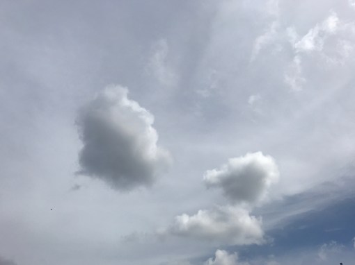 伊東充隆　青空禅塾