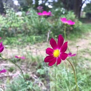 自己の本質への道しるべ