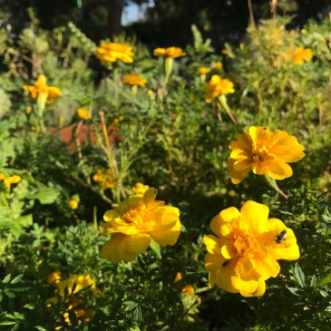 人生は完璧である