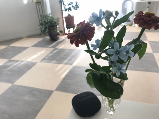 １１月のプロトマニア