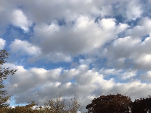 伊東充隆＠プロトマニア