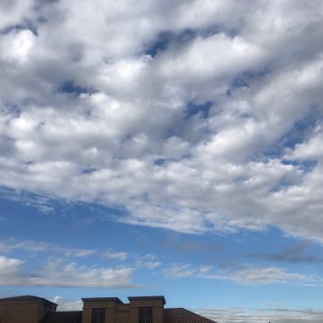 ラマナ・マハルシ　伊東充隆＠プロトマニア