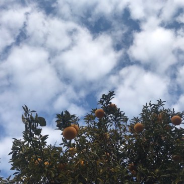 空そらソラのお茶会〜青空と雲のお話。