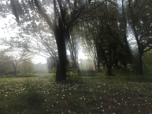 ビジネスパーソンのための絵画鑑賞講座４月