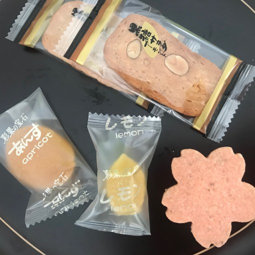 青空禅塾＠プロトマニア